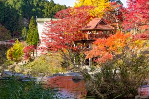 大井平公園、紅葉、秋、11月、愛知県豊田市の観光・撮影スポットの画像と写真