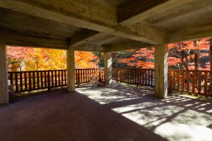 大井平公園、紅葉、秋、11月、愛知県豊田市の観光・撮影スポットの画像と写真