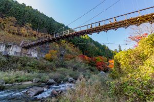 大井平公園、紅葉、秋、11月、愛知県豊田市の観光・撮影スポットの画像と写真