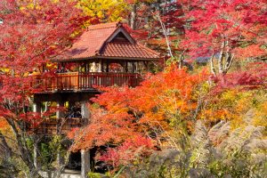 大井平公園、紅葉、秋、11月、愛知県豊田市の観光・撮影スポットの画像と写真