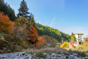 大井平公園、紅葉、秋、11月、愛知県豊田市の観光・撮影スポットの画像と写真