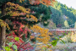 大井平公園、紅葉、秋、11月、愛知県豊田市の観光・撮影スポットの画像と写真
