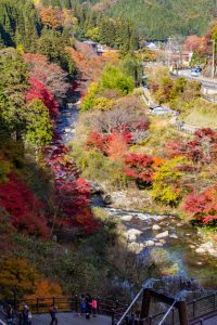 大井平公園、紅葉、秋、11月、愛知県豊田市の観光・撮影スポットの画像と写真