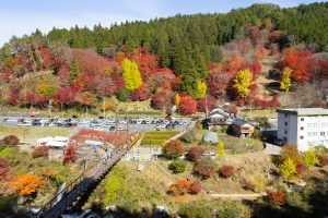 大井平公園、紅葉、秋、11月、愛知県豊田市の観光・撮影スポットの画像と写真