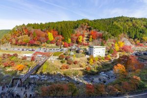 大井平公園、紅葉、秋、11月、愛知県豊田市の観光・撮影スポットの画像と写真