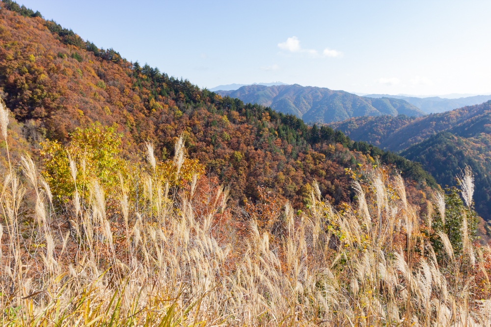 大倉滝、清美展望台、紅葉、11月、岐阜県高山市の観光・撮影スポットの画像と写真