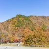 大倉滝、せせらぎ街道、紅葉、そば処清見庵、11月、岐阜県高山市の観光・撮影スポットの画像と写真