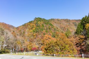大倉滝、せせらぎ街道、紅葉、そば処清見庵、11月、岐阜県高山市の観光・撮影スポットの画像と写真