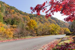 大倉滝、せせらぎ街道、紅葉、そば処清見庵、11月、岐阜県高山市の観光・撮影スポットの画像と写真