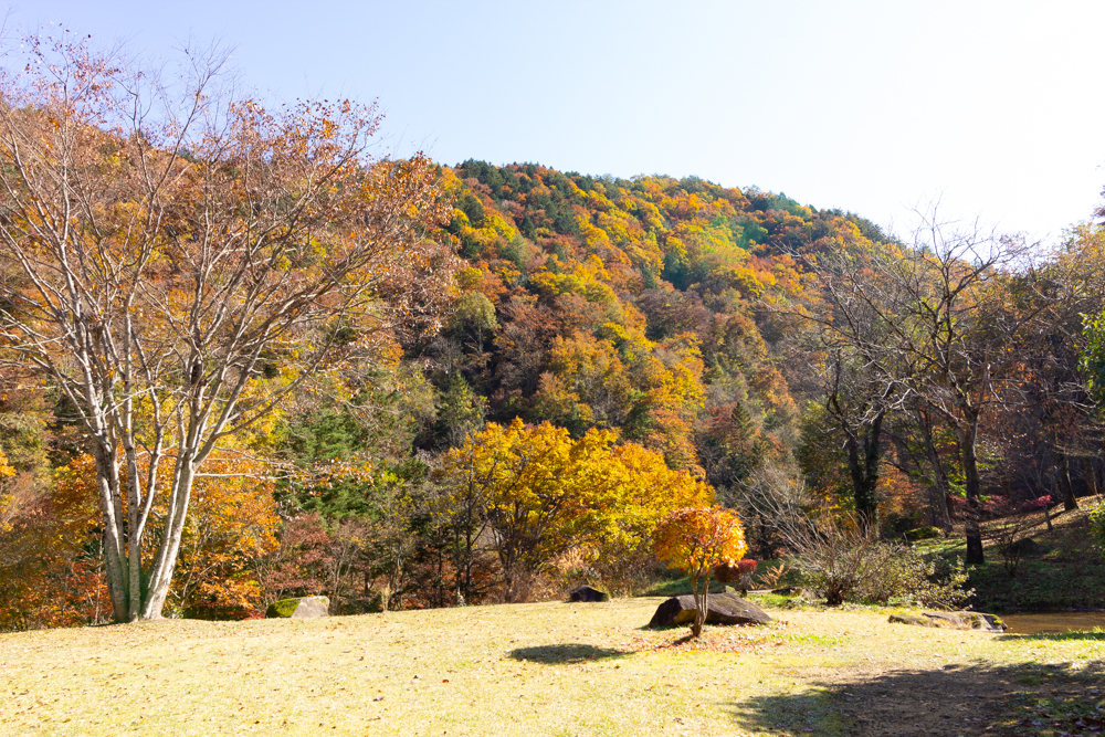 大倉滝、紅葉、そば処清見庵、11月、岐阜県高山市の観光・撮影スポットの画像と写真