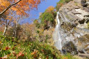 大倉滝、せせらぎ街道、紅葉、11月、岐阜県高山市の観光・撮影スポットの画像と写真