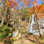 大倉滝、せせらぎ街道、紅葉、11月、岐阜県高山市の観光・撮影スポットの画像と写真