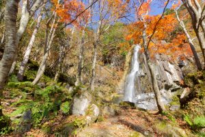 大倉滝、せせらぎ街道、紅葉、11月、岐阜県高山市の観光・撮影スポットの画像と写真