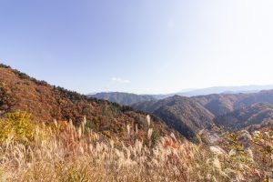 大倉滝、せせらぎ街道、清美展望台、紅葉、11月、岐阜県高山市の観光・撮影スポットの画像と写真