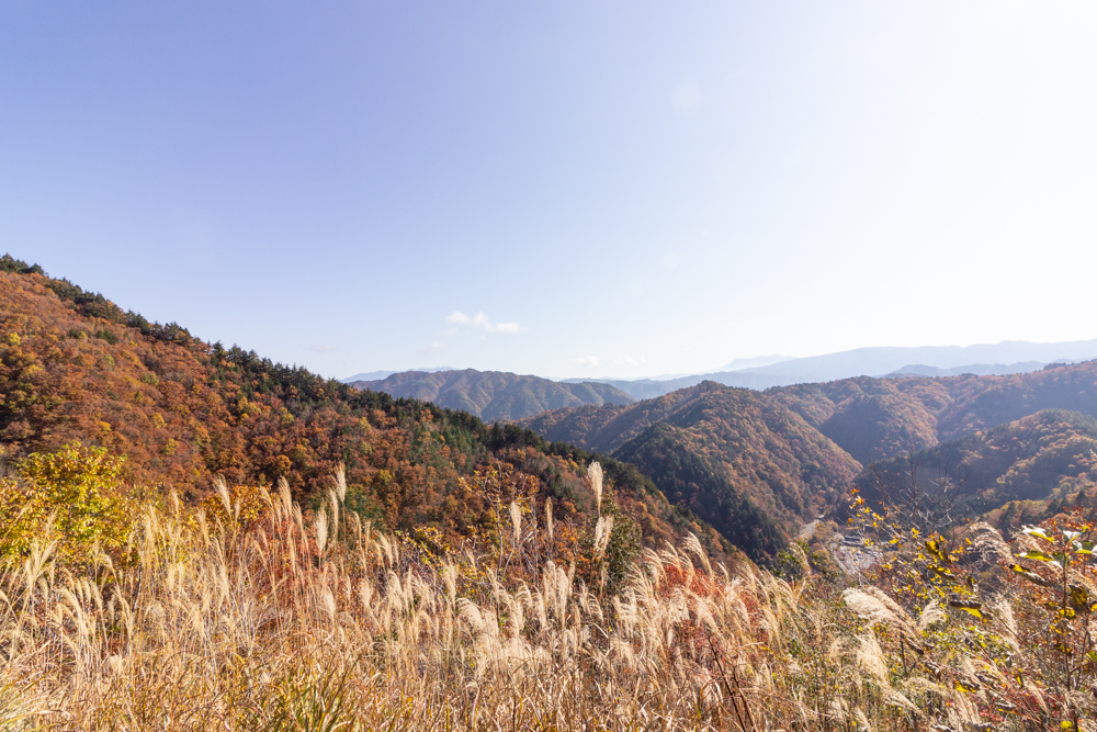 大倉滝、清美展望台、紅葉、11月、岐阜県高山市の観光・撮影スポットの画像と写真