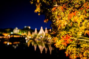 白鳥庭園、観楓会、紅葉、ライトアップ、11月、秋、名古屋市熱田区の観光・撮影スポットの画像と写真