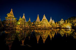 白鳥庭園、観楓会、紅葉、ライトアップ、11月、秋、名古屋市熱田区の観光・撮影スポットの画像と写真