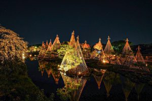 白鳥庭園、観楓会、紅葉、ライトアップ、11月、秋、名古屋市熱田区の観光・撮影スポットの画像と写真