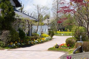 アクアワールド水郷パークセンター、4月の春の花、岐阜県海津市の観光・撮影スポットの画像と写真