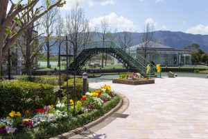 アクアワールド水郷パークセンター、4月の春の花、岐阜県海津市の観光・撮影スポットの画像と写真