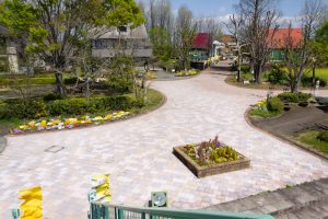 アクアワールド水郷パークセンター、4月の春の花、岐阜県海津市の観光・撮影スポットの画像と写真
