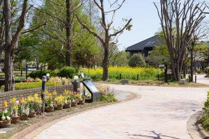 アクアワールド水郷パークセンター、4月の春の花、岐阜県海津市の観光・撮影スポットの画像と写真