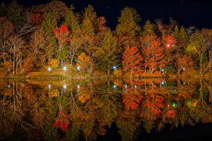 茶臼山高原、紅葉、ライトアップ、11月秋、愛知県豊田市の観光・撮影スポットの画像と写真