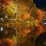 茶臼山高原、紅葉、ライトアップ、11月秋、愛知県豊田市の観光・撮影スポットの画像と写真