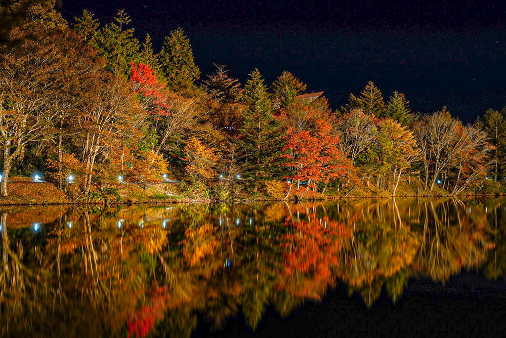 茶臼山高原、紅葉、ライトアップ、11月秋、愛知県豊田市の観光・撮影スポットの画像と写真