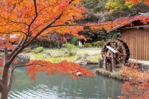 東山植物園、紅葉、11月秋、名古屋市千種区の観光・撮影スポットの画像と写真