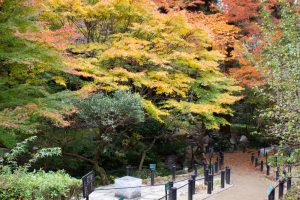 東山植物園、紅葉、11月秋、名古屋市千種区の観光・撮影スポットの画像と写真