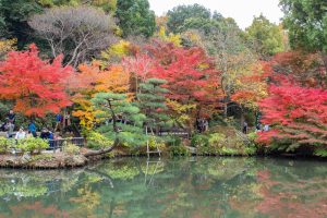 東山植物園、紅葉、11月秋、名古屋市千種区の観光・撮影ス東山植物園、紅葉、11月秋、名古屋市千種区の観光・撮影スポットの画像と写真