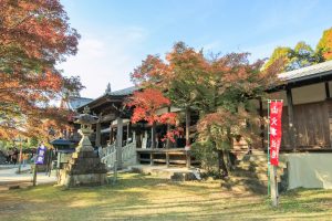 寂光院、紅葉、11月秋、愛知県犬山市の観光・撮影スポットの画像と写真
