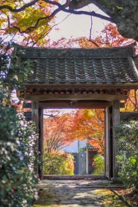 円興寺、紅葉、11月秋、岐阜県大垣市の観光・撮影スポットの画像と写真