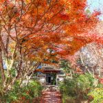円興寺、紅葉、11月秋、岐阜県大垣市の観光・撮影スポットの画像と写真