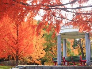 岐阜ファミリーパーク、紅葉、11月秋、岐阜県岐阜市の観光・撮影スポットの画像と写真