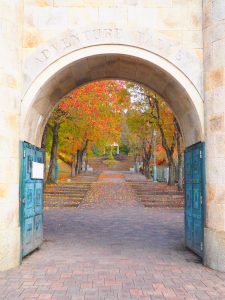 岐阜ファミリーパーク、紅葉、11月秋、岐阜県岐阜市の観光・撮影スポットの画像と写真