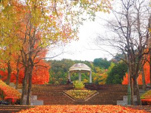 岐阜ファミリーパーク、紅葉、11月秋、岐阜県岐阜市の観光・撮影スポットの画像と写真