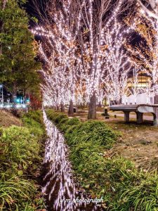 みんなの森・ぎふメディアコスモス、イルミネーション、12月冬、岐阜県岐阜市の観光・撮影スポットの画像と写真