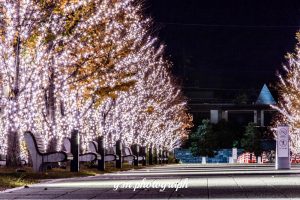 みんなの森・ぎふメディアコスモス、イルミネーション、12月冬、岐阜県岐阜市の観光・撮影スポットの画像と写真