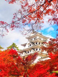 郡上八幡城、紅葉、11月秋、岐阜県郡上市の観光・撮影スポットの画像と写真