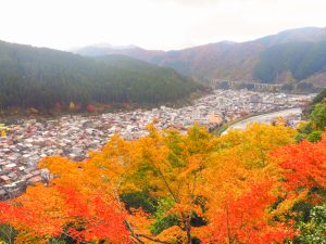 郡上八幡城、展望台、紅葉、11月秋、岐阜県郡上市の観光・撮影スポットの画像と写真