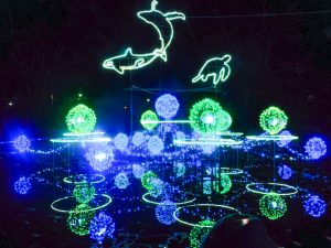 138タワーパーク、イルミネーション、12月冬、愛知県一宮市の観光・撮影スポットの画像と写真