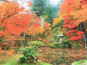 慈恩禅寺、紅葉、11月秋、岐阜県郡上市の観光撮影スポットの名所