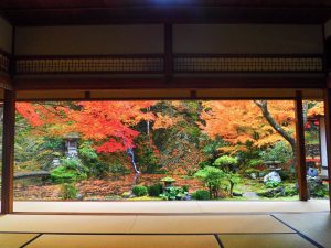慈恩禅寺、紅葉、11月秋、岐阜県郡上市の観光撮影スポットの名所