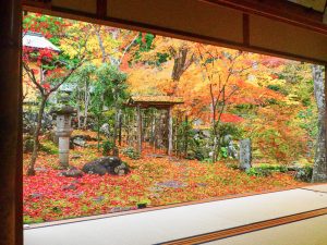 慈恩禅寺、紅葉、11月秋、岐阜県郡上市の観光撮影スポットの名所