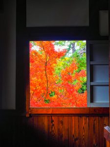 慈恩禅寺、紅葉、11月秋、岐阜県郡上市の観光撮影スポットの名所
