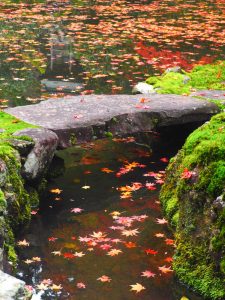 慈恩禅寺、紅葉、11月秋、岐阜県郡上市の観光撮影スポットの名所