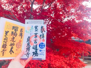 慈恩禅寺、紅葉、11月秋、岐阜県郡上市の観光撮影スポットの名所