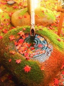 慈恩禅寺、紅葉、11月秋、岐阜県郡上市の観光撮影スポットの名所